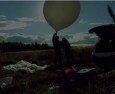 Обманутые дольщики запустили котенка с обращением к Путину